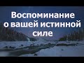 ПОСЛАНИЕ ОТ АРХАНГЕЛА МИХАИЛА, ЗОЛОТЫХ ГАЛАКТИЧЕСКИХ ДРАКОНОВ, АШИРЫ, АИЛИИ И СОВЕТА СИЯЮЩЕГО СВЕТА