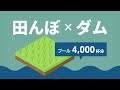 浸水多発の佐賀県 田んぼ を豪雨の水瓶に 土手が崩れたら農家に補償金 浸水多発の佐賀県 田んぼ を豪雨の水瓶に 土手が崩れたら農家に補償金