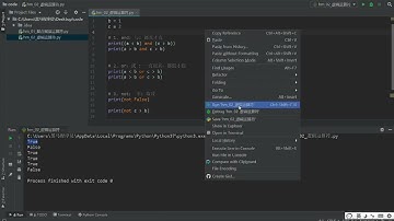 Python数据类型转换和运算符：3.14 逻辑运算符书写习惯