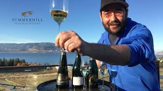 Autolysis in Traditional Method Sparkling Wine Explained