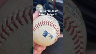 This is crazy #baseball #aaronjudge #pirates #yankees