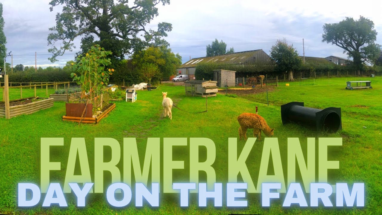 A Day on The Farm - YouTube