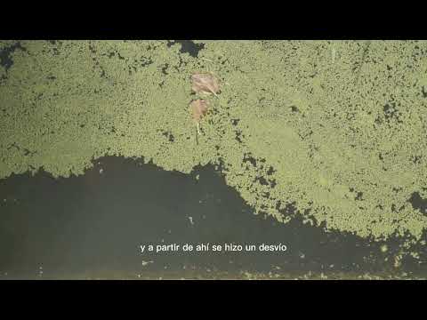 El agua insiste | Las Piedras / Las Tunas, arroyos muertos