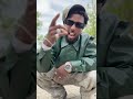 Chenalkena Mano Qarxino Chenalkena Mano Qarxino