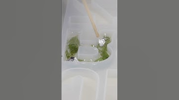 Watch @megdion make some beautiful resin keychains! #shorts