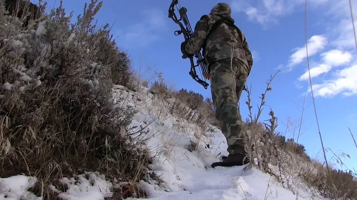 Archery Mule deer Hunt - 2014