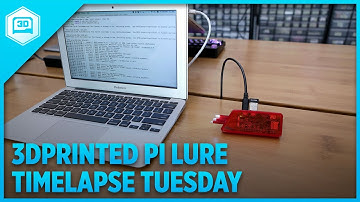 3D Printed Pi Lure - Timelapse Tuesday