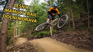 Leśny Trail i Mamuti Trail - Dolni Morava l Dollo Vlog