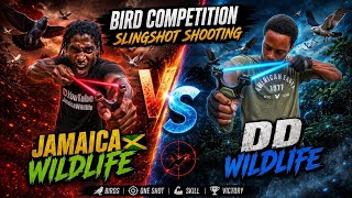 WHO CAN HIT THE MOST? 😱 EPIC SLINGSHOT BATTLE | Catch, Clean & Cook