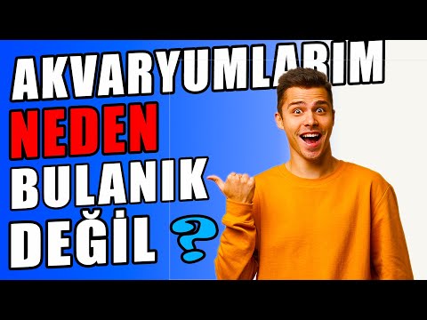 Video: Bulanıklaşır?