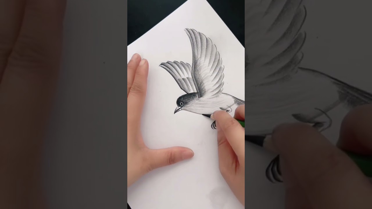 Charcoal Drawing Tutorial: Learn Charcoal Drawing Step by Step