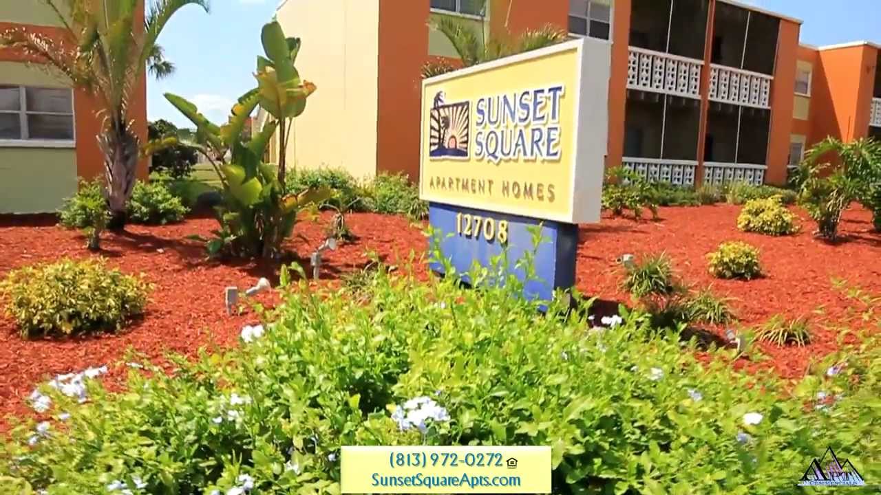Sunset Square Apartments Video Tour Tampa Florida YouTube