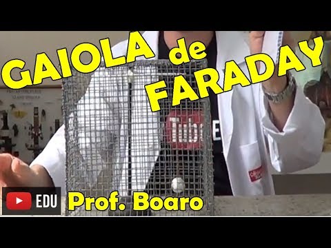 GAIOLA DE FARADAY #1 - EXPERIÊNCIA DE FÍSICA - Prof  Boaro