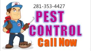 Pest Control Companies Spring TX - 281-353-4427