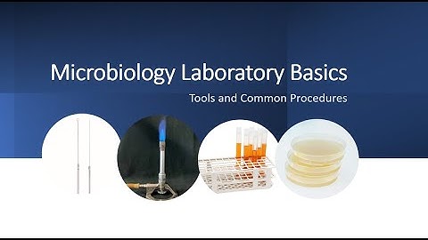 Microbiology Lab for Beginners