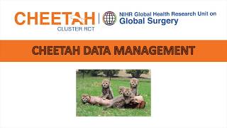 CHEETAH Data management