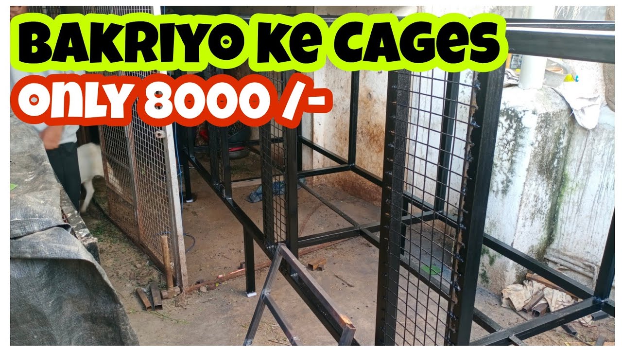 Kam Jagah or kam kharch me kaise banay bakrio ke liye cages | Cages for Goats