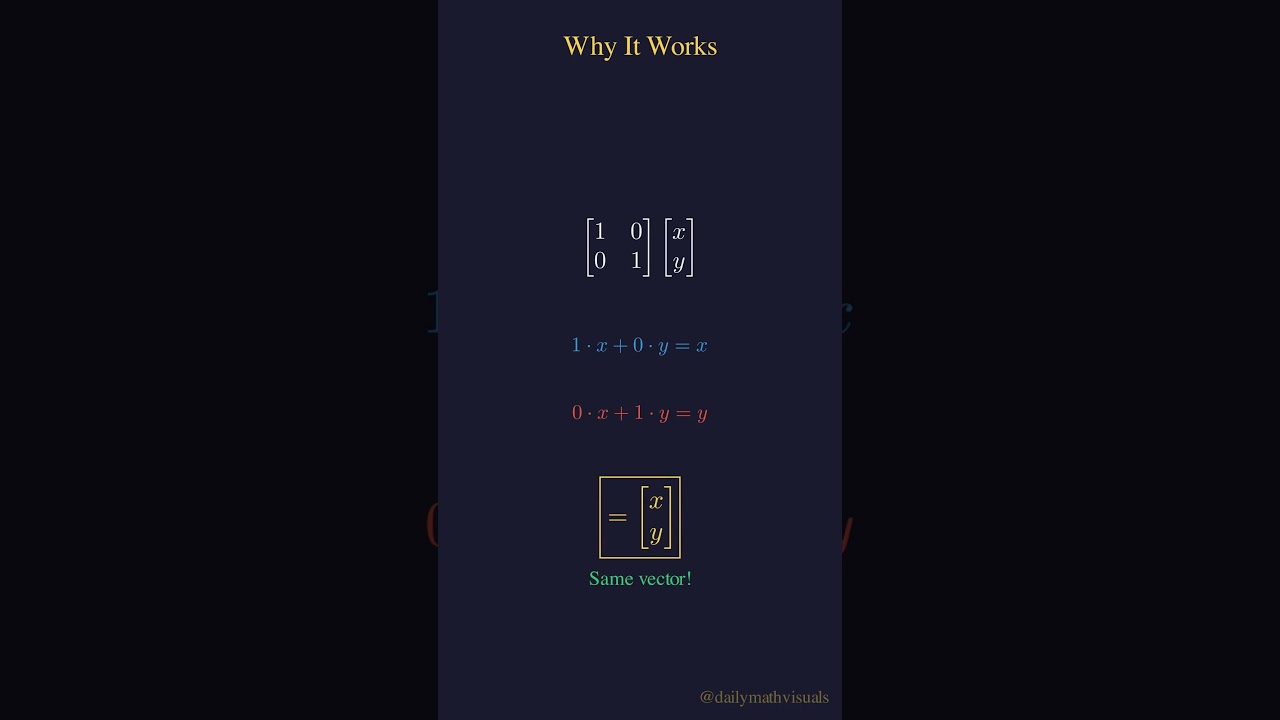 Объяснение единичной матрицы | «1» в матрицах