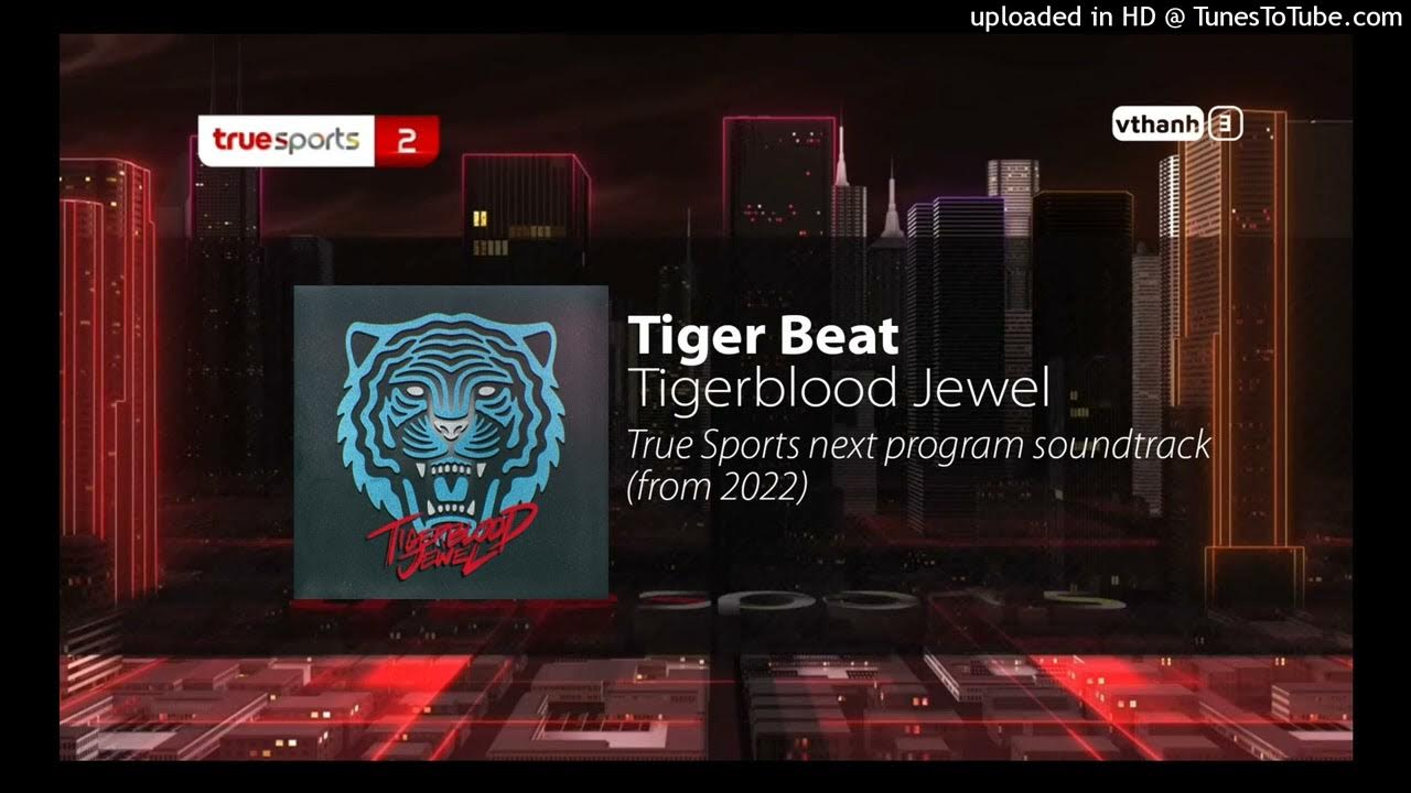 Tiger Beat Tigerblood Jewel True Sports Next Program Soundtrack advanced-english-vocabulary-hang-tight-meaning-youtube