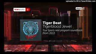 Tiger Beat - Tigerblood Jewel | True Sports next program soundtrack (2022) (1)