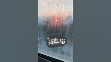 اية الكرسي قران كريم #اكسبلور #القزابري #duet #الرحمن #المراه #لايك #المصحف #حالات_واتس #البرزخ