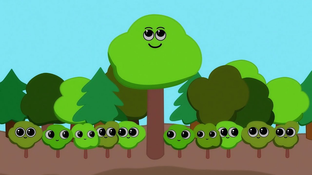 The Secret Life of Mother Trees! 🌳 - YouTube