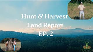 Hunt & Harvest Land Report!! Blue Ridge, GA!! The Beauty of The Top County in Northwest GA!!