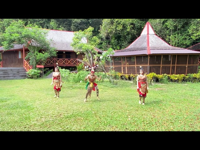 17  SANGGAR DARUNG TINGANG PALANGKA RAYA TARI BINTAP TALAWANG KALTENG class=