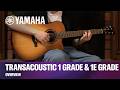 Электроакустическая гитара Yamaha TAG1C TransAcoustic (Sand Burst)