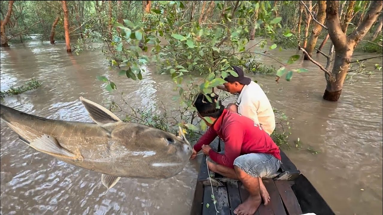 Mình đã làm được rồi . Đánh Câu trên Rừng dính Cá Dồ Chó rồi cả nhà ơi VXĐ Phần 1 