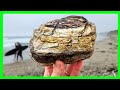 Rockhounding Jalama Beach Root Beer Agates & Chert - California's Central Coast