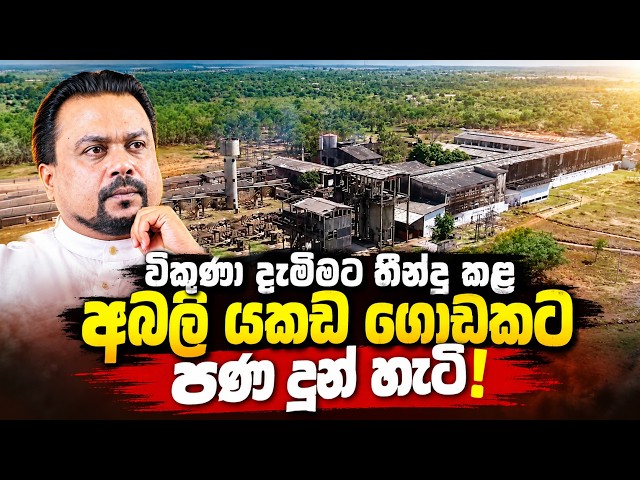 විකුණා දැමීමට තීන්දු කල අබලි යකඩ ගොඩකට පණ දුන් හැටි! | Valachchenei Paper Mill |#wimalweerawansa