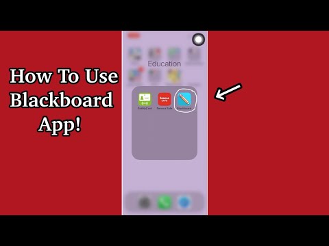 How To Use Blackboard App! | Seneca College