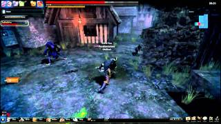 Vindictus broken physics