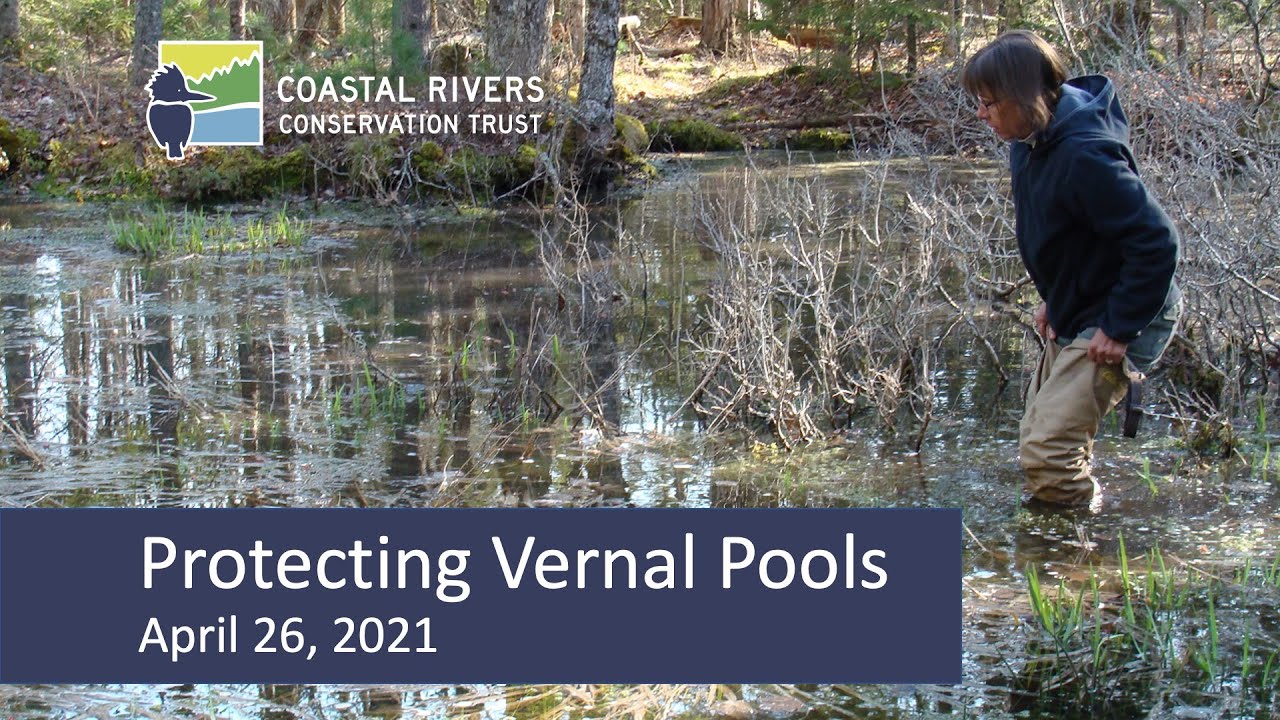 Protecting Vernal Pools