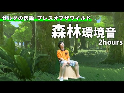 【睡眠用BGM】Botw、実写で。｜森林｜ASMR｜ゲーム環境音2時間耐久生配信【ゼルダの伝説　ブレスオブザワイルド（Botw）】