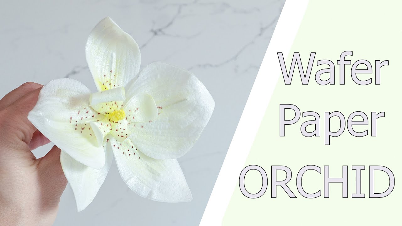 ПРОСТАЯ и реалистичная ОРХИДЕЯ из Вафельной Бумаги