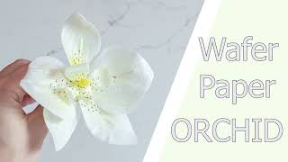 видео: ПРОСТАЯ и реалистичная ОРХИДЕЯ из Вафельной Бумаги картинка: ПРОСТАЯ и реалистичная ОРХИДЕЯ из Вафельной Бумаги