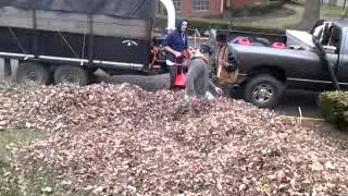 Professional Leaf Pickup