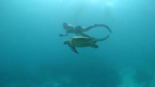 Weekend Fun Dive @ Puerto Galera