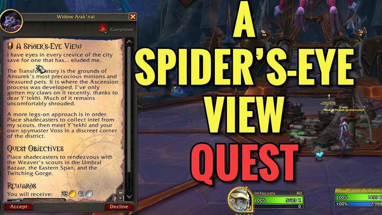 A Spider's-Eye View Quest (WoW TWW)