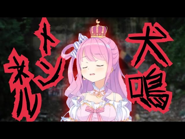 犬鳴トンネルにルーナ姫の悲鳴が響き渡る！姫森ルーナ悲鳴集～犬鳴トンネル編～Scream princess Himemori Luna 【ホロライブ/切り抜き】