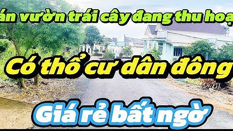 Bán đất vườn Xuyên Mộc có thổ cư – Đường nhựa thông, dân ở kín, vườn cây thu hoạch sẵn!