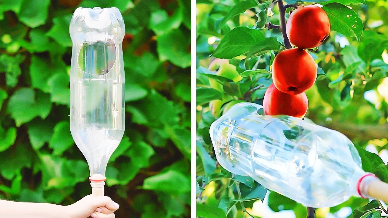 Useful Garden Hacks That Actually Work