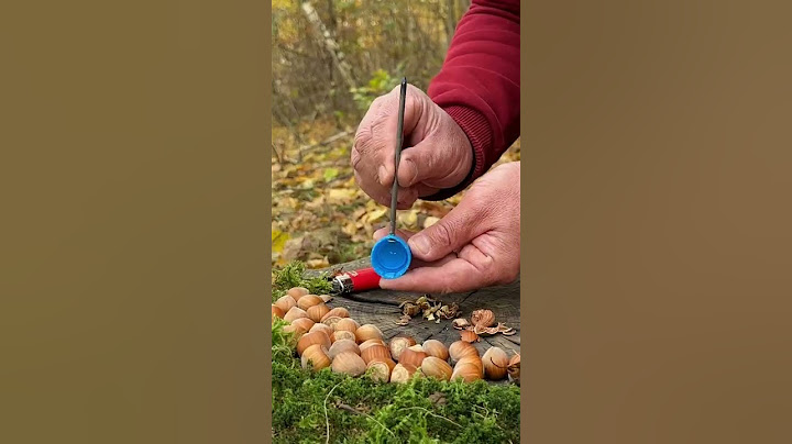 Genius LifeHack for Quick Nut Cleaning with Whole Kernels.