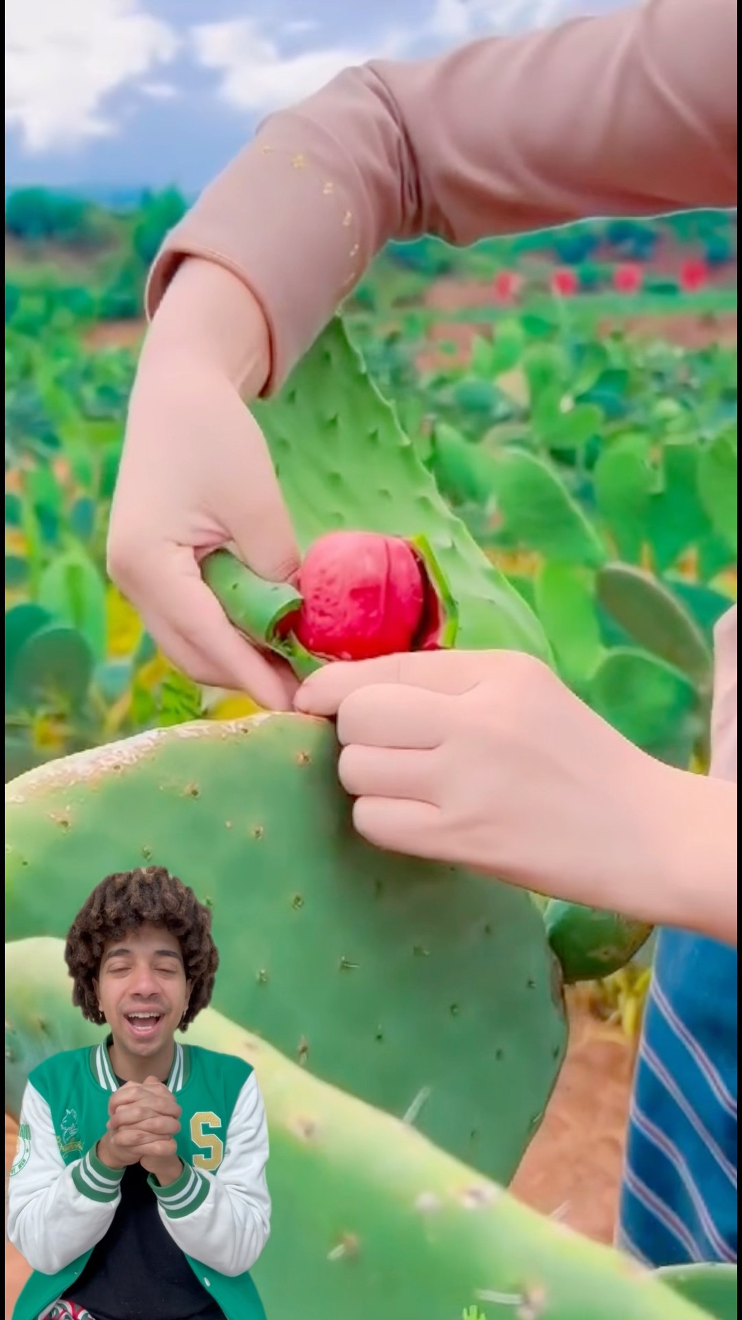 اسمه ايه فى بلدكو ?