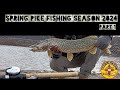 SPRING PIKE FISHING SEASON 2024 PART 1