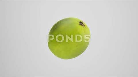 Lime 360 Rotation 4K 60fps Alpha