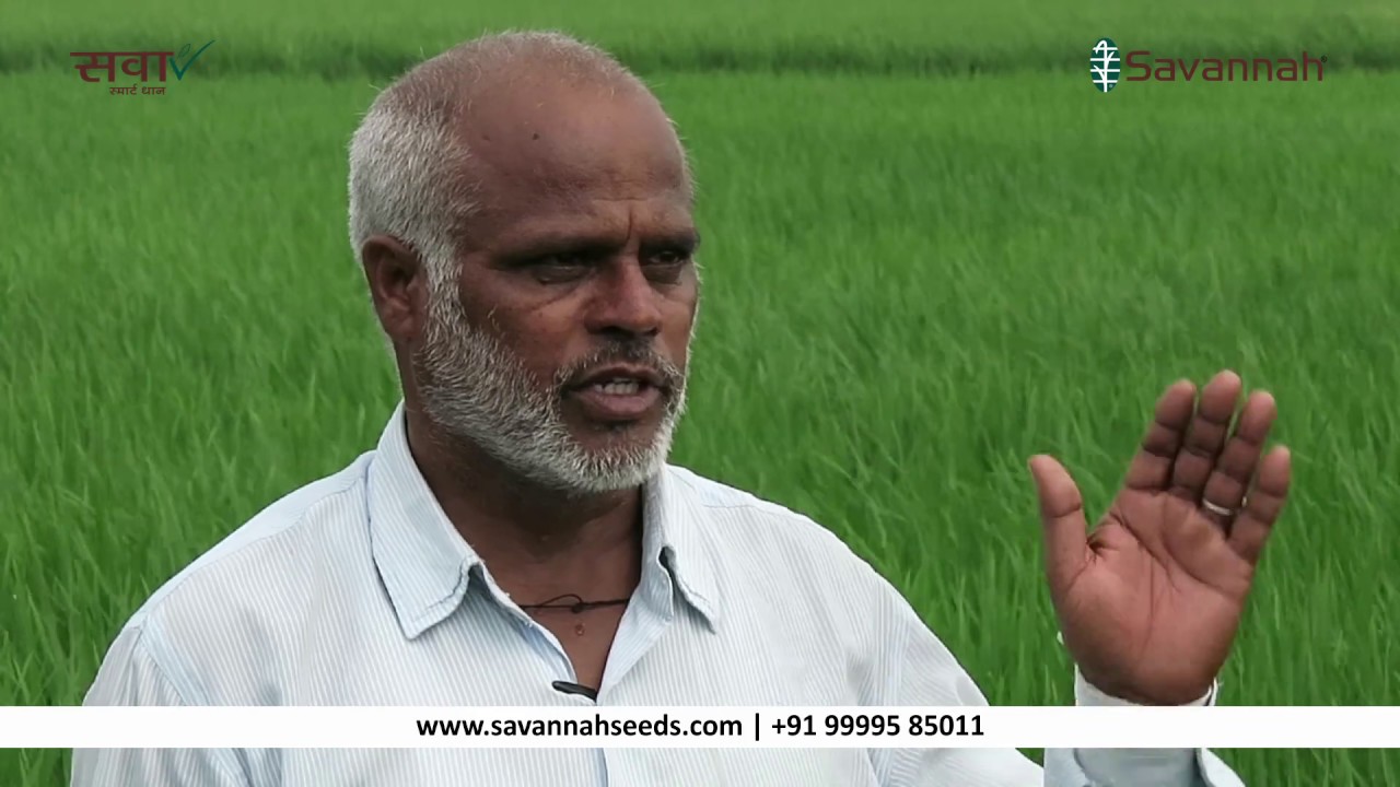 Haryana Farmer Testimonial | Sava Smart Rice 127 - YouTube