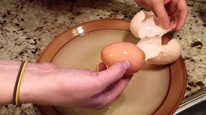 Chicken lays a Giant Egg with a surprise inside.